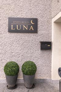 LUNA apartamenty - klimatyczny apartament nr 8 z widokiem na poddaszu - Góry Sowie - Jezioro