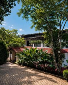 Canopy and Cloves Resort