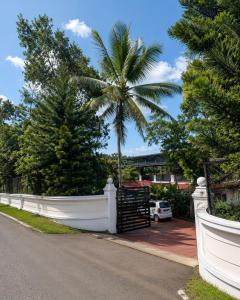 Canopy and Cloves Resort