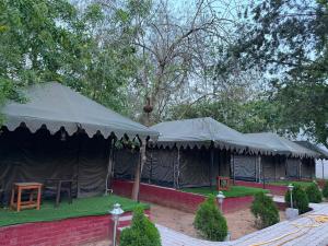 Aravalli Hills golden farm, Luxury Tents & AC rooms with scenic views