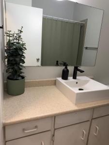 Central Cozy 2BR Stay Near Downtown & Zoo