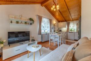 Apartment Oaza