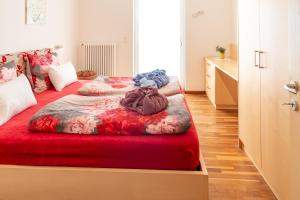 Apartment Haus Lang