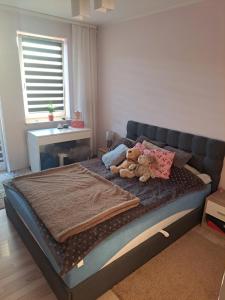 Grażyna apartament