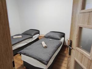 Central Apartman Tatabánya
