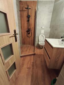 Central Apartman Tatabánya