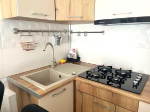 Agata Forest Residence - Central Sinaia with Washing Machine
