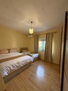 Central Comfort Apartment