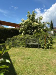 Nature Apartment Karlovy Vary Kolová