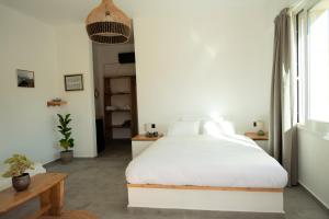 Lavender Suite