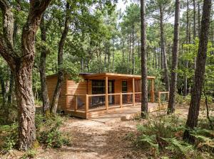 La forêt PALOMA, Ecolodge