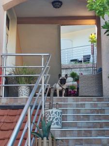 Eko Apartments