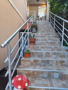 Eko Apartments