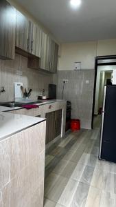 1 Br Apartment Kite