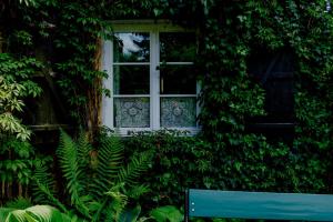Willa Reglówka Stylowy dom Pachnący ogród