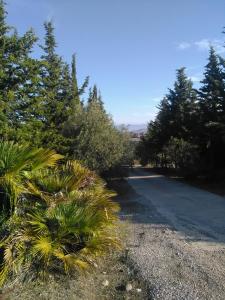 Casa d' Artista B&B img75