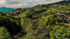 Cabana La Urși