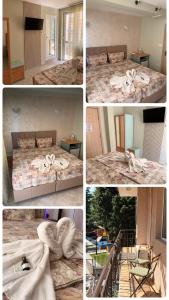 Terzievi Family House