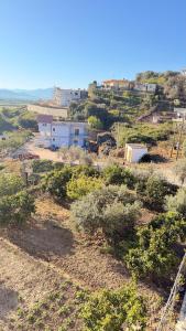 Nemelia House