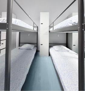 Hostel LAS ROSAS