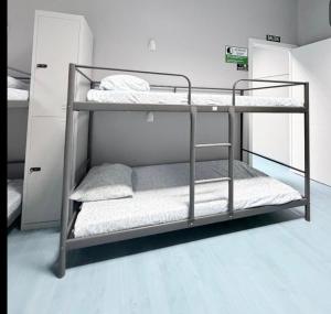 Hostel LAS ROSAS