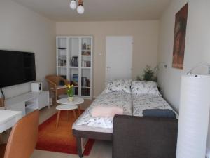 Lovely modern flat close to downtown