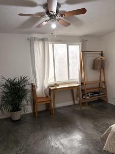 Casa Plantasia Oaxaca