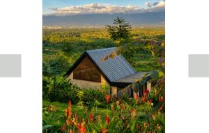 Macana Eco Hotel