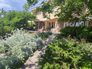 Apartment Punat 5351b