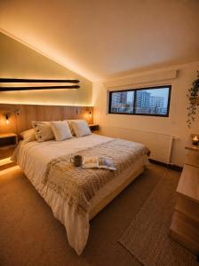 Loft Ski el Colorado