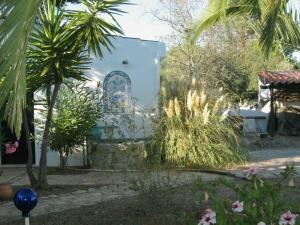 Casa das Palmeiras