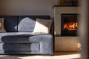 Year-round holiday home with fireplace and terrace
