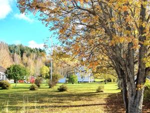 5 star holiday home in LIKENÄS