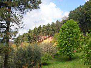 Holiday Home in Pescia with Private Pool