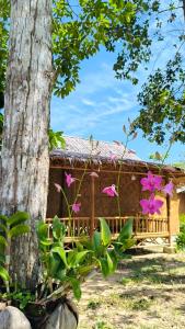 Mook Mellow Hill Bungalows