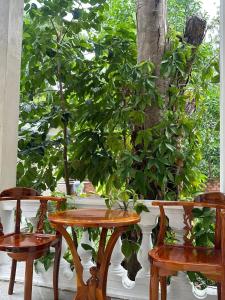 khu nghĩ dưỡng sinh thái