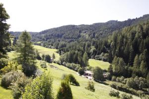 2 star apartement Residence Wiesenheim Trodena Itaalia