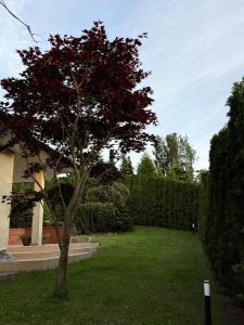 Baltic Garden Villa