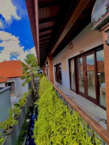 Double S shortcut canggu
