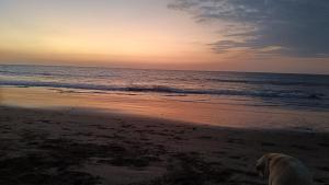 Loft5 matrimonial Playa Pocitas