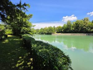 The River House
