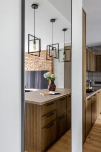 Luxury Apartment in the City Center Nr9