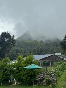 Aranya wood resort