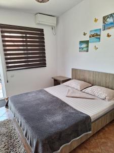 Casa Ultraviolet