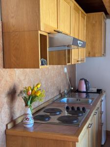 Ducina Apartments