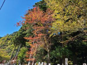 Ichimaru Ryokan - Vacation STAY 77709v