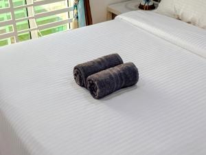 the kampung collection