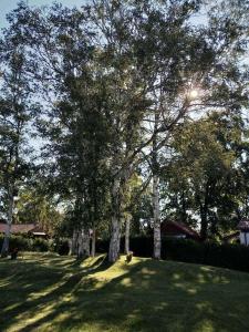 Pergola - Dźwirzyno