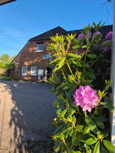Ferienwohnung zum Zander - Sonniger Weitblick übers Feld