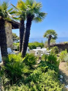 Villa Lilli